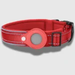 Red Tag dog collar