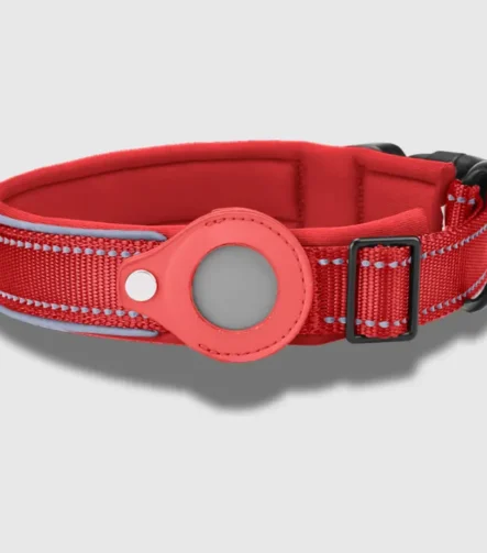 Red Tag dog collar