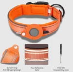 Orange Tag dog collar