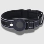 black Tag dog collar
