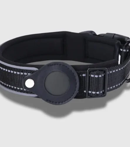 black Tag dog collar