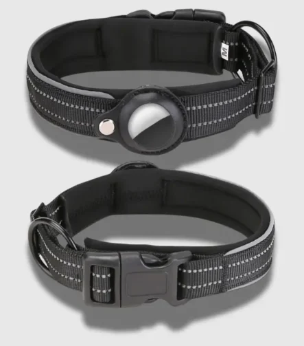 black Tag dog collar