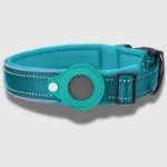 Ferozi Tag dog collar