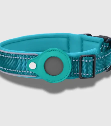 Ferozi Tag dog collar
