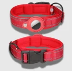 Red Tag dog collar