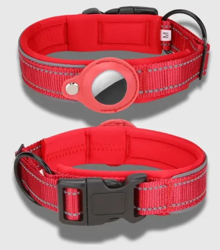 Red Tag dog collar