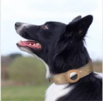 Desert Brown Tag dog collar