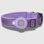 Purple Tag dog collar