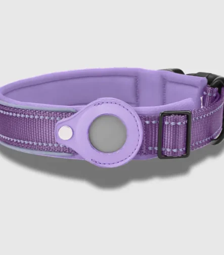 Purple Tag dog collar
