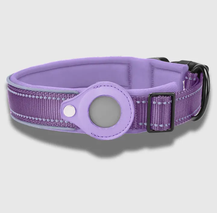 Purple Tag dog collar