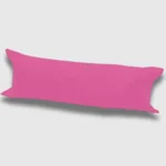 Fuchsia bloster