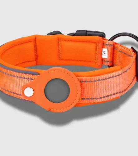 Orange Tag dog collar