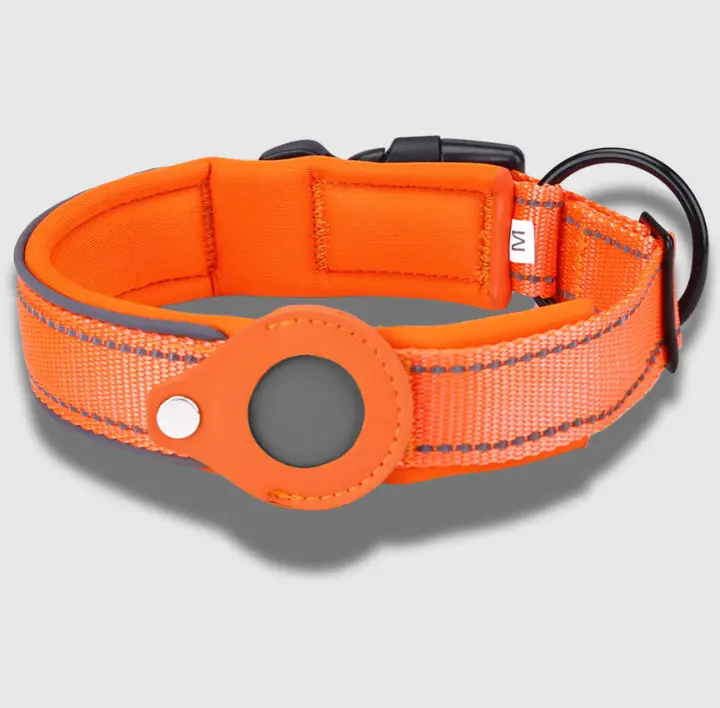 Orange Tag dog collar