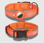 Orange Tag dog collar