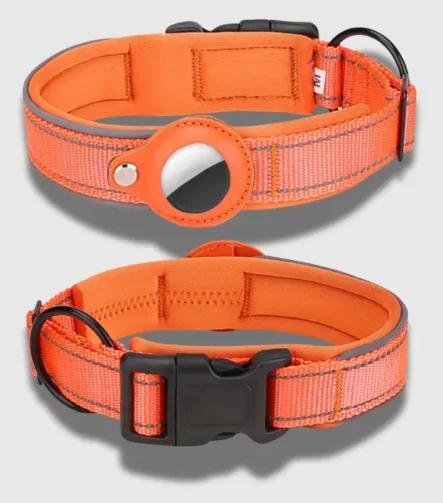 Orange Tag dog collar
