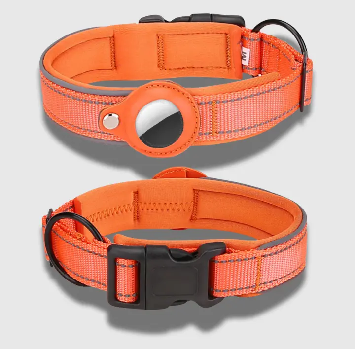 Orange Tag dog collar