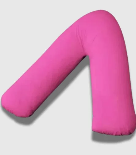 Fuchsia V Shaoe Bolster Case