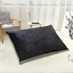 Black Crush Velvet Pillows