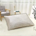Cream Crush Velvet Pillows