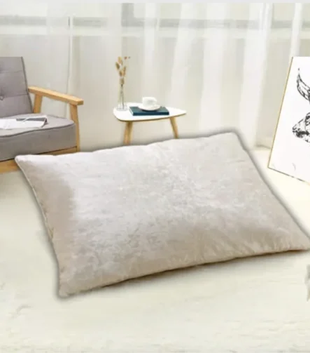 Cream Crush Velvet Pillows