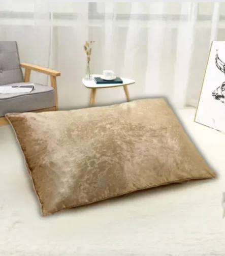 Golden Crush Velvet Pillows