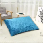 Sky Blue Velvet Pillows