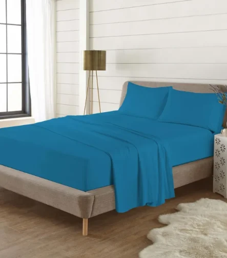 Flan Teal