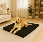 Pet bed black