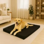 Pet bed black
