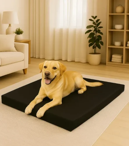 Pet bed black
