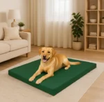 Pet bed green
