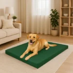 Pet bed green