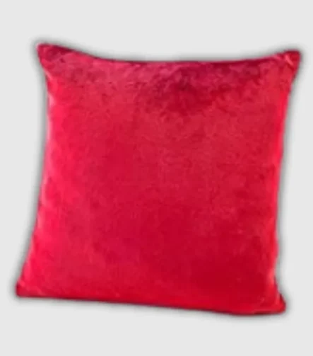 Red Crushed Valvet Cushions